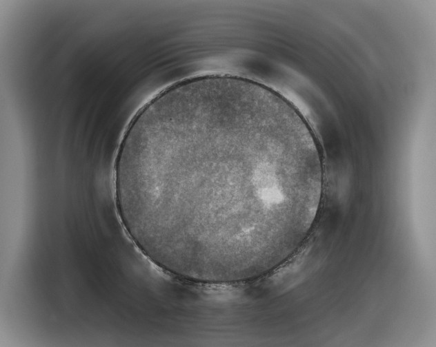 X0000116450807200912081617