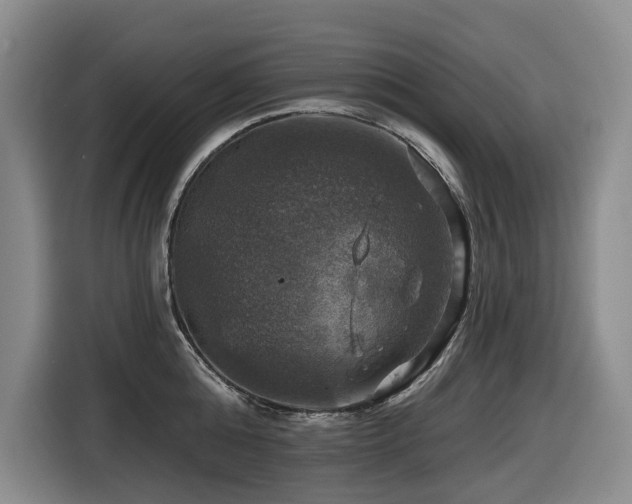 X0000116450808200912081617