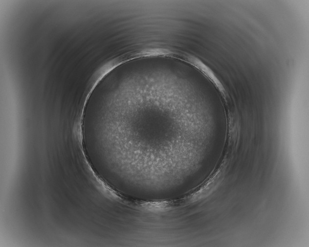 X0000116450810200912081617