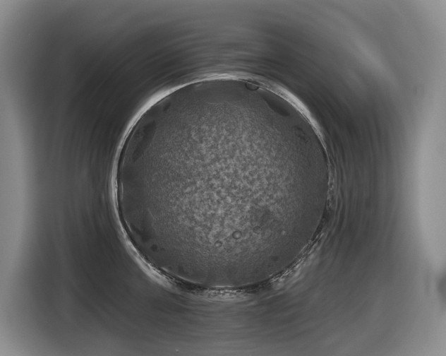 X0000116450811200912081617