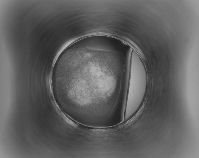 X0000116450812200912081617