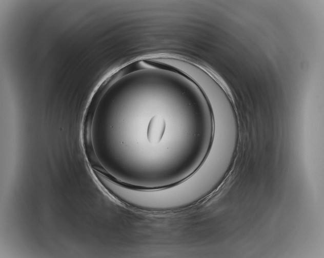 X0000116450813200912081617
