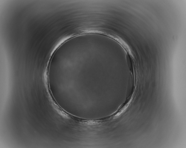 X0000116450814200912081617