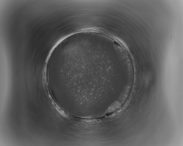 X0000116450816200912081617