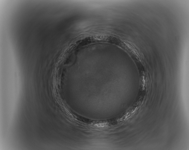 X0000116450817200912081616
