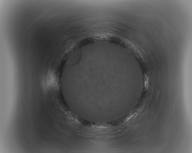 X0000116450819200912081616