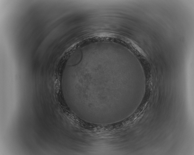 X0000116450821200912081616
