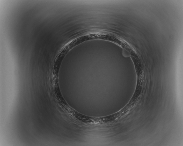 X0000116450822200912081616