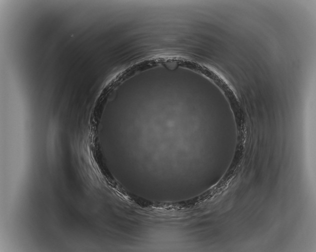 X0000116450823200912081616