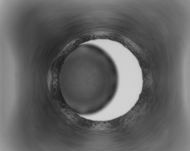 X0000116450824200912081616
