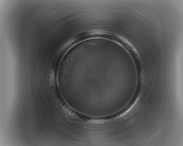 X0000116450825200912081616