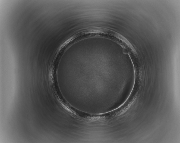 X0000116450826200912081616