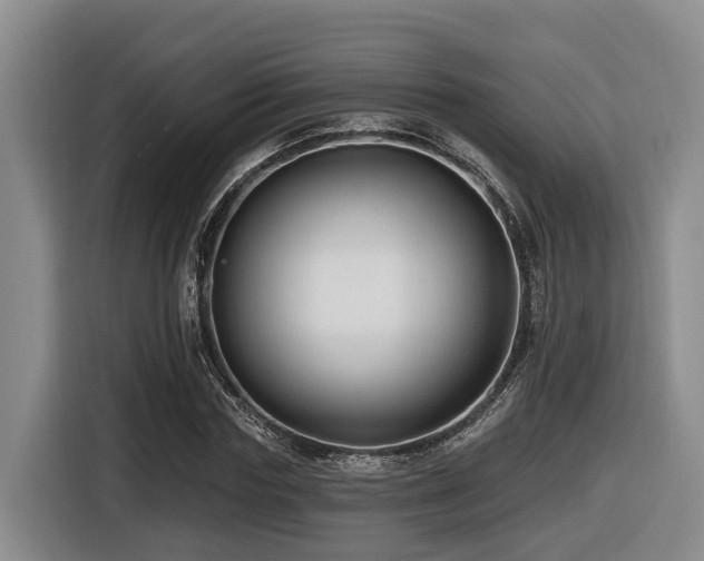 X0000116450827200912081616