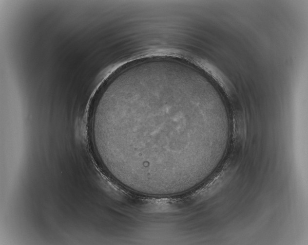 X0000116450828200912081616