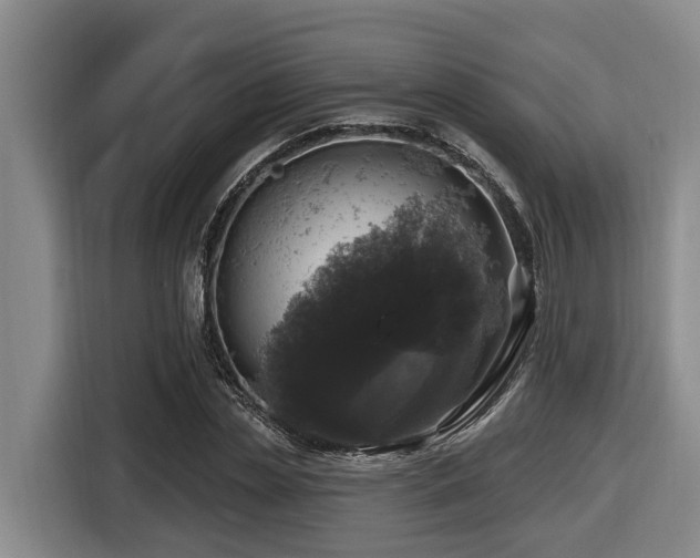 X0000116450829200912081616