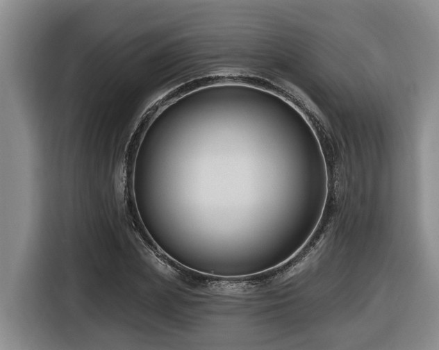 X0000116450831200912081616