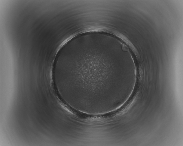 X0000116450834200912081616