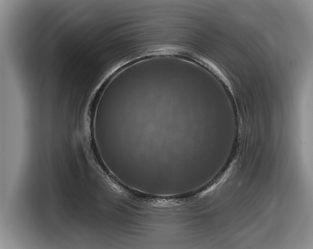 X0000116450835200912081616