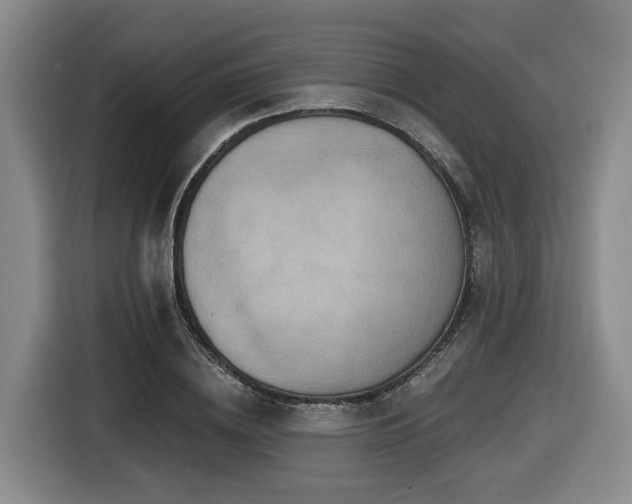 X0000116450836200912081616