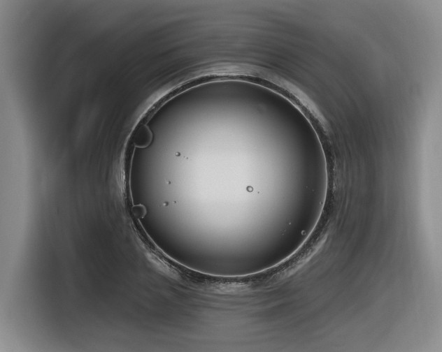 X0000116450837200912081616