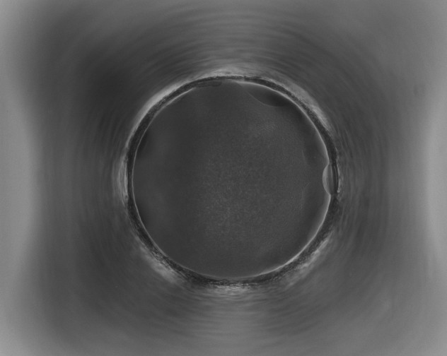 X0000116450838200912081616