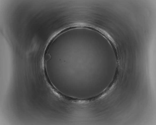 X0000116450839200912081616
