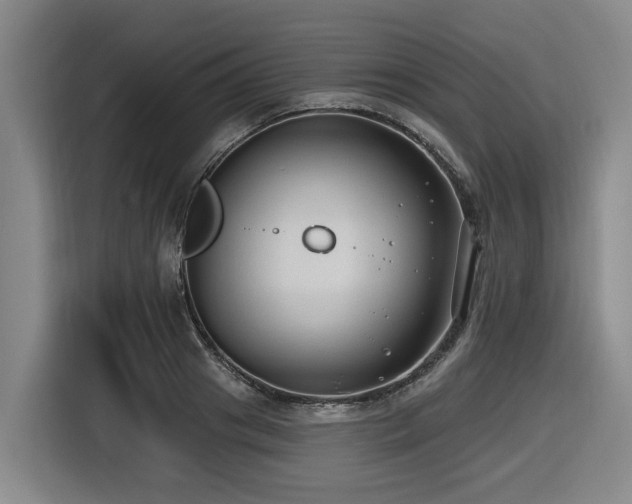 X0000116450841200912081616