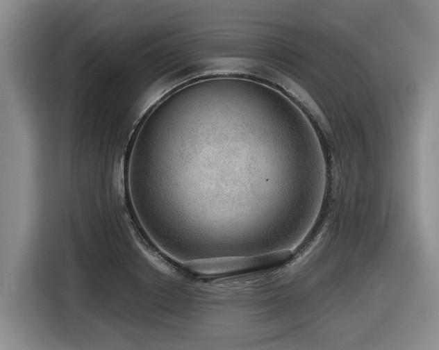 X0000116450842200912081616