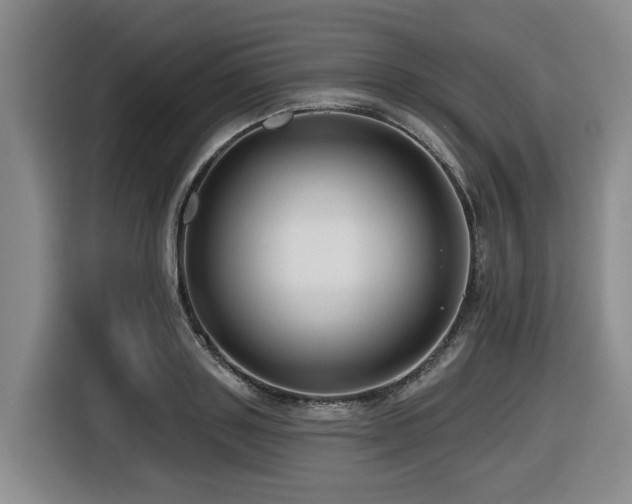 X0000116450843200912081616