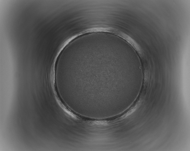 X0000116450844200912081616