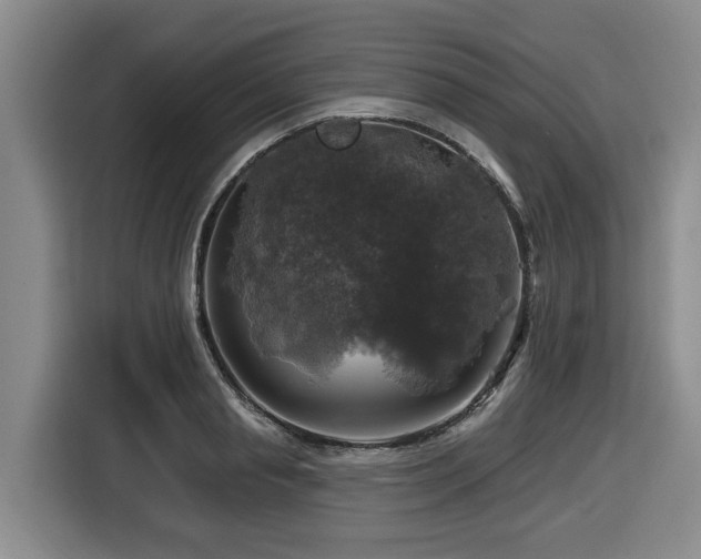 X0000116450845200912081616