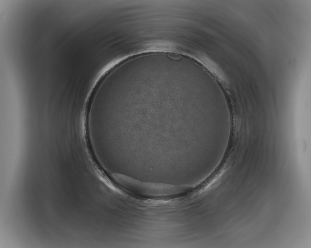 X0000116450846200912081616