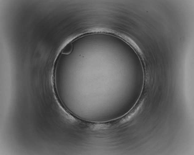 X0000116450847200912081616