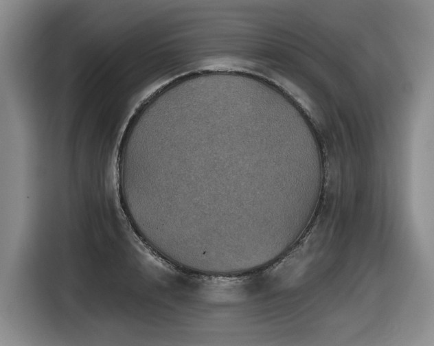 X0000116450848200912081616