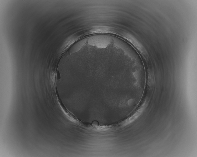 X0000116450849200912081617