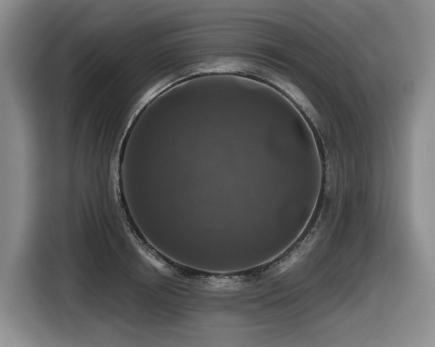 X0000116450850200912081617
