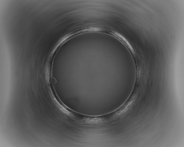 X0000116450851200912081617