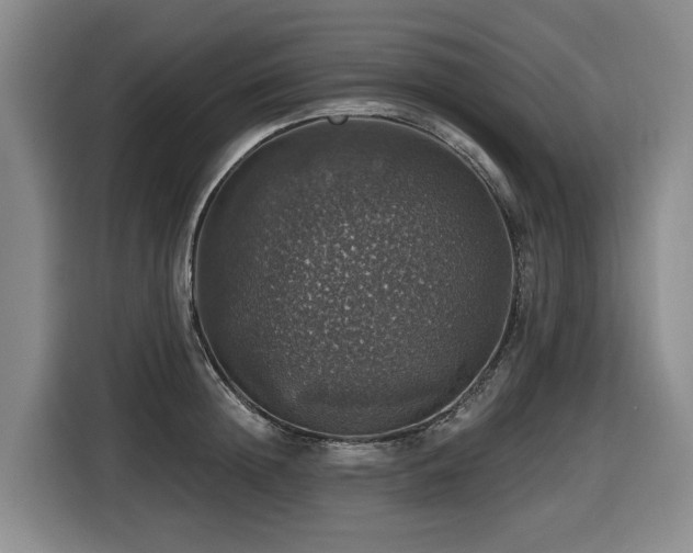 X0000116450852200912081617