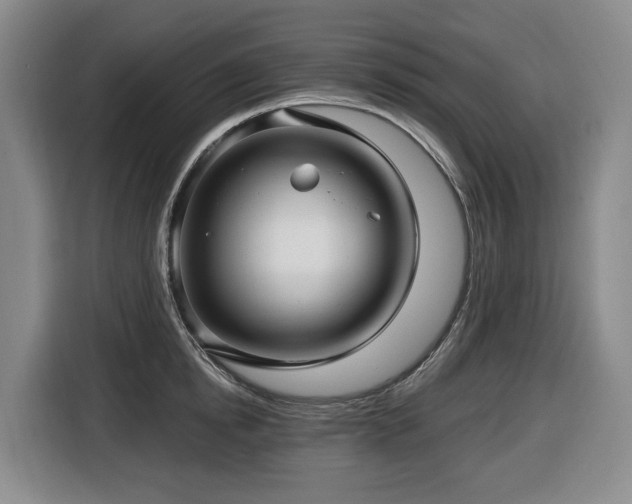 X0000116450854200912081617