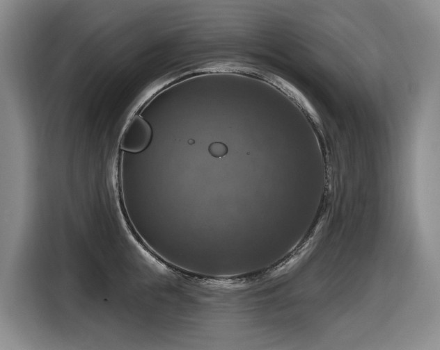 X0000116450855200912081617