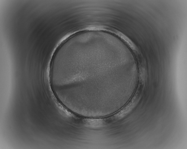 X0000116450856200912081617