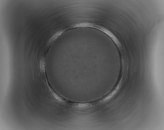X0000116450857200912081617
