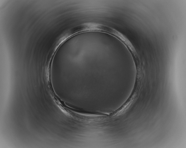 X0000116450858200912081617