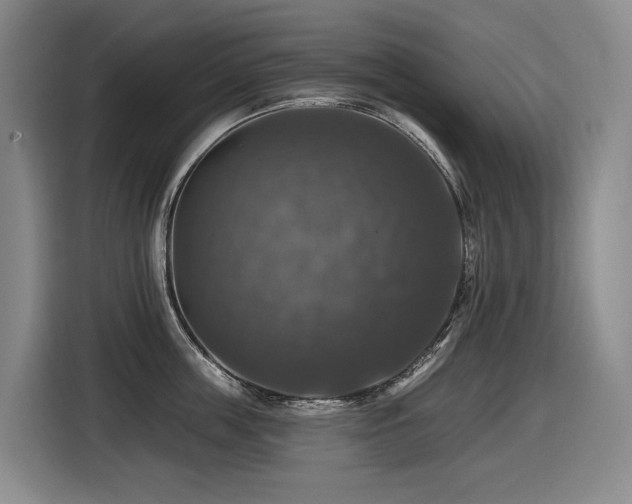 X0000116450859200912081617