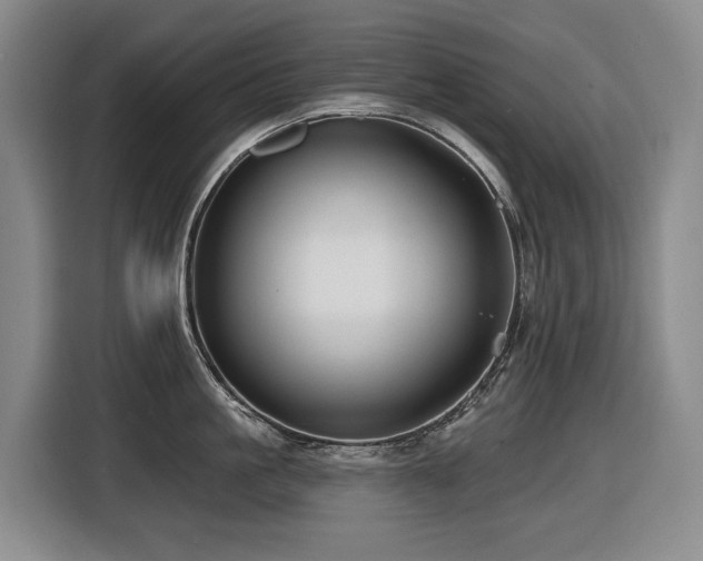 X0000116450861200912081617