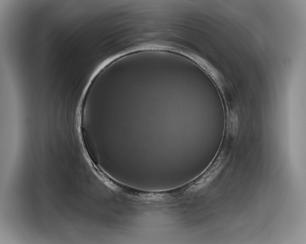 X0000116450862200912081617