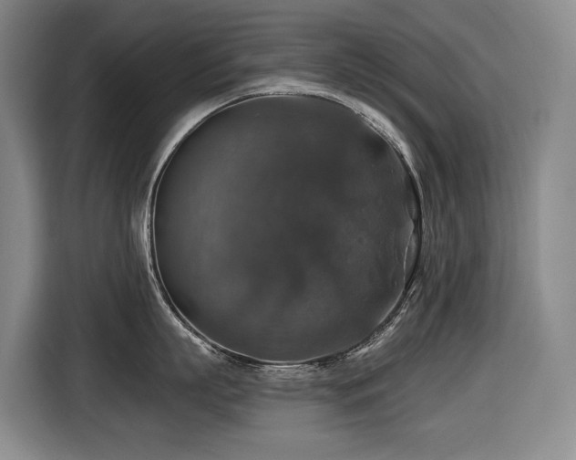 X0000116450863200912081617