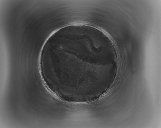 X0000116450864200912081617