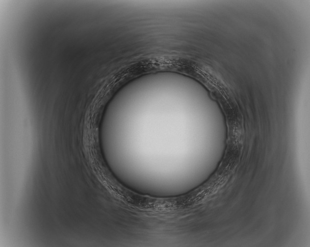 X0000116450865200912081616