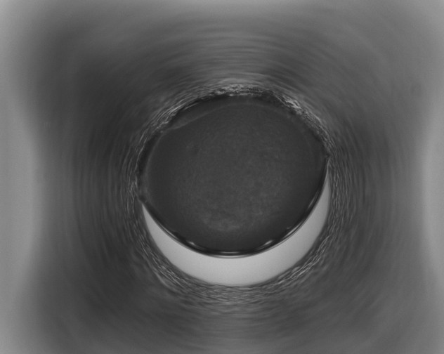 X0000116450868200912081616